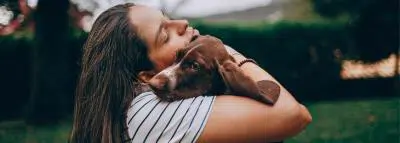 Les vaccins pour les animaux sont-ils dangereux ? animaux chien veterinaire vaccin