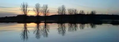 inondations-arbres-eau inondations-arbres-eau