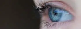 DMLA : comprendre et gérer la maladie oeil vision