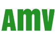Logo-Amv